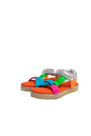Albaricoque Multicolor