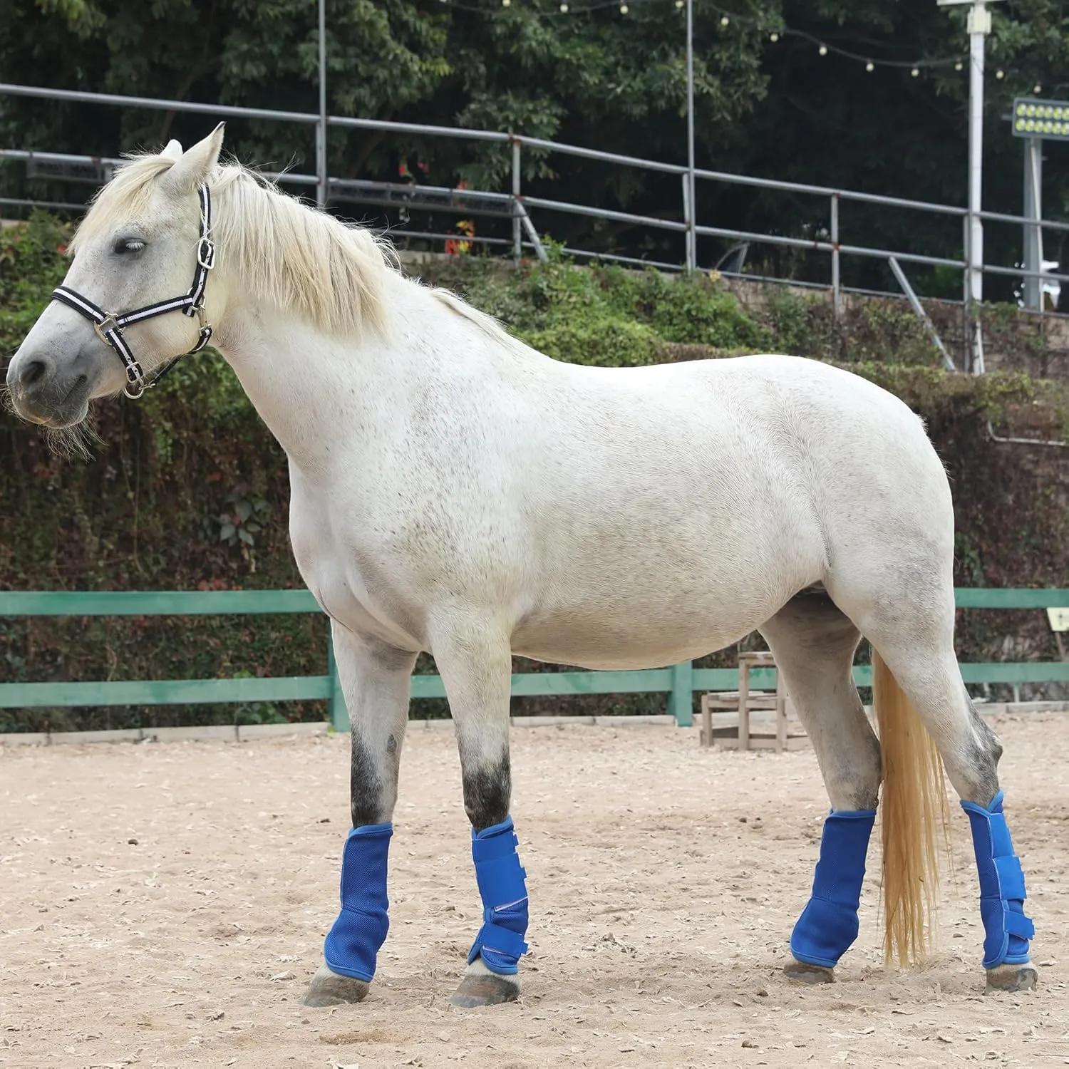 Horse Fly Boots - Perfect for Equine Leg Wraps and Maximum Horse Fly Protection - Set of 4