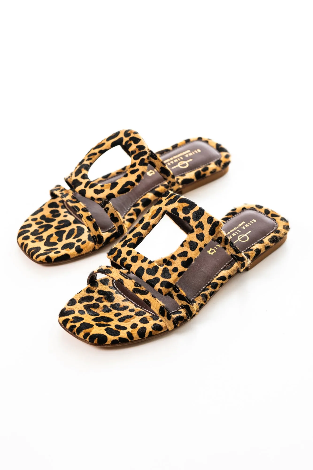 Solace Leopard